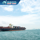 China aan Overzeese van Australië Verschepende Vrachtvervoerder Amazonië Dropship aan Europa