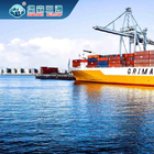 FBA Internationale Verschepende Vrachtvervoerder, de Verschepende de Logistiekdienst DDU van NVOCC